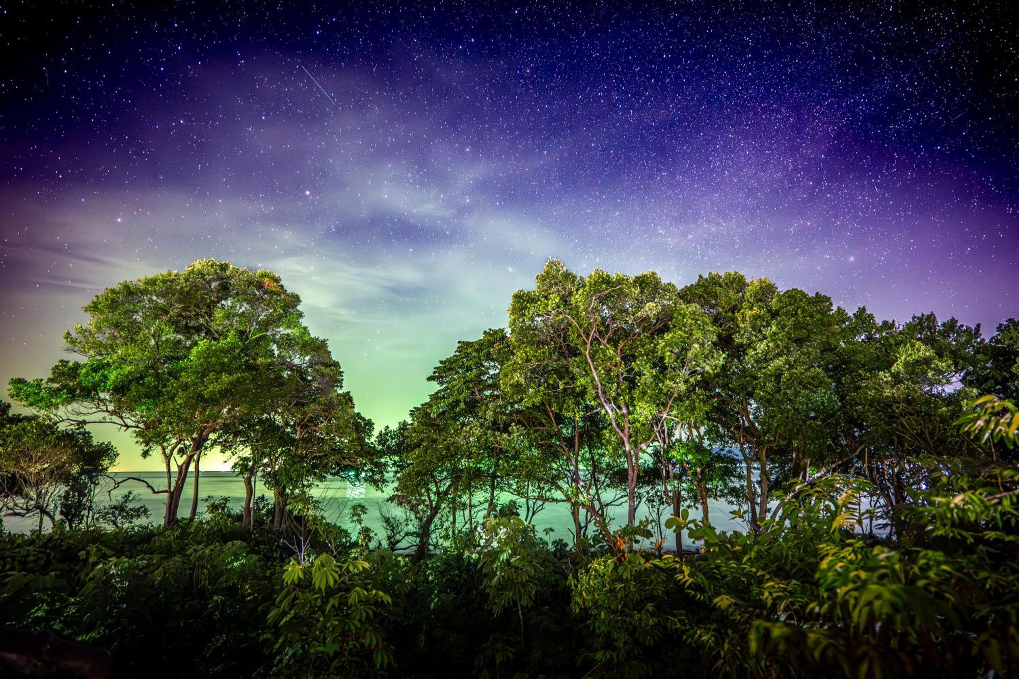 Easy Tiger - M'Pai Bay Beach, Koh Rong Sanloem Exterior foto