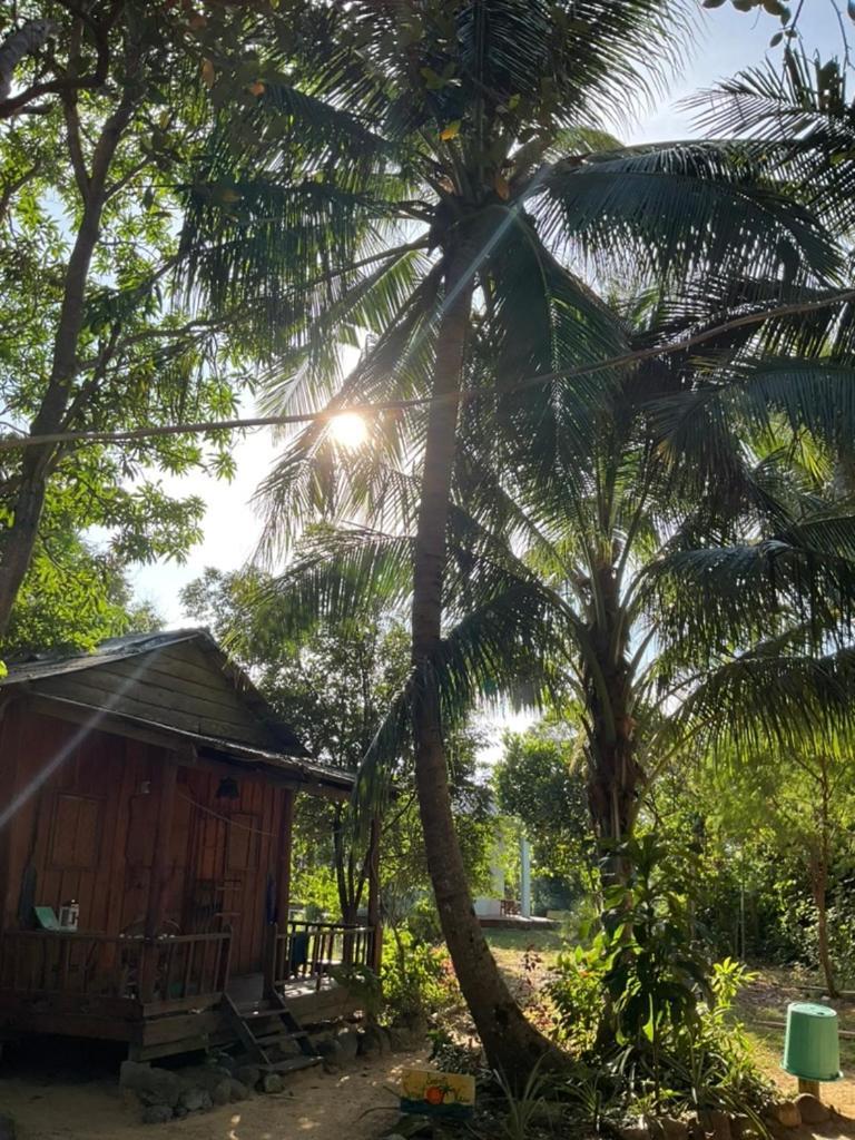 Easy Tiger - M'Pai Bay Beach, Koh Rong Sanloem Exterior foto